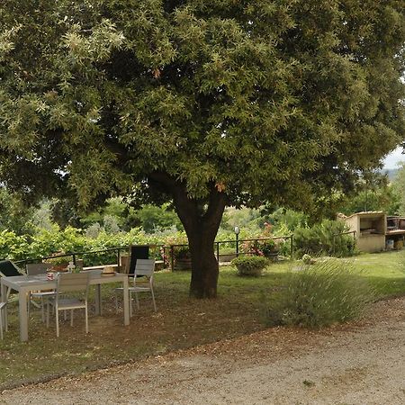 Agriturismo Renai E Monte II กัมบาสซี แตร์เม ภายนอก รูปภาพ