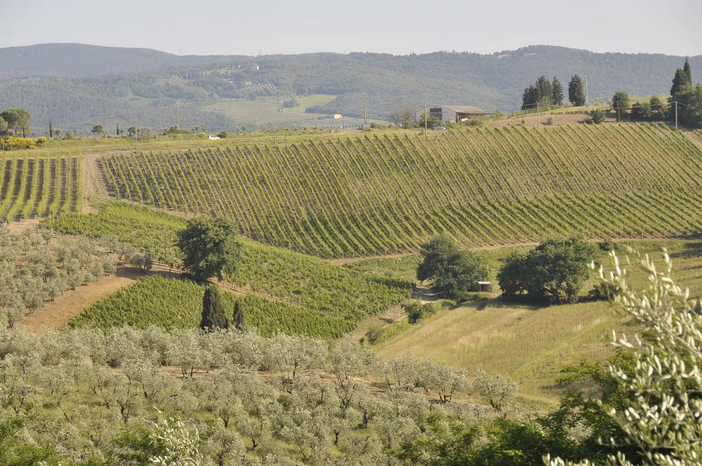 Agriturismo Renai E Monte II กัมบาสซี แตร์เม ภายนอก รูปภาพ
